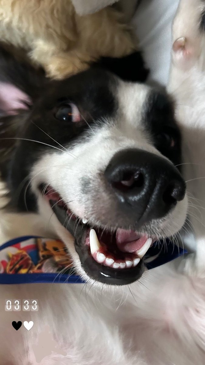 Samira 💋 tweet media