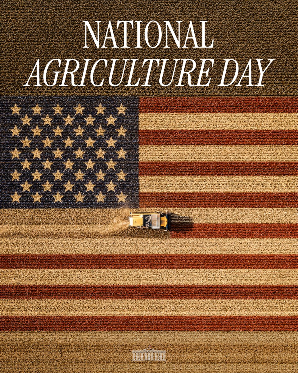 The White House tweet media