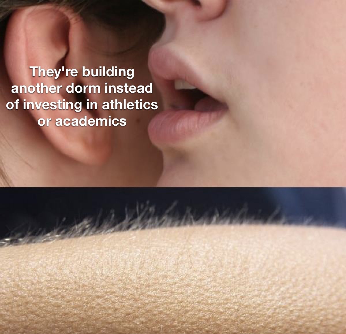 LSU Foot-bawl Twitah (@corndogtweet) on Twitter photo 