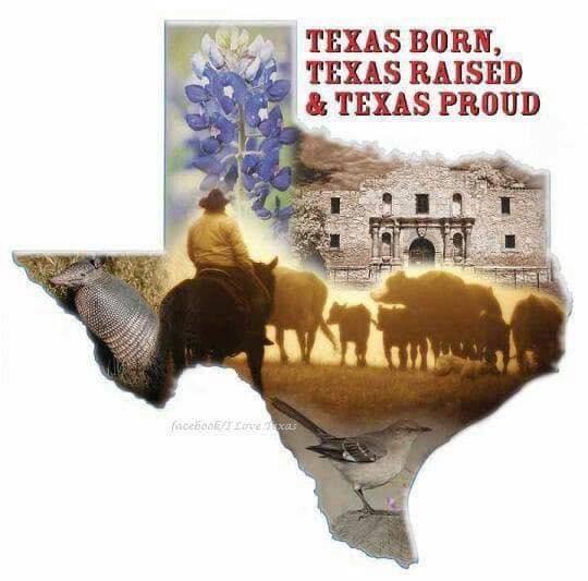 ButterflyKisses 🇺🇸❤️🤍💙🇺🇸 tweet media