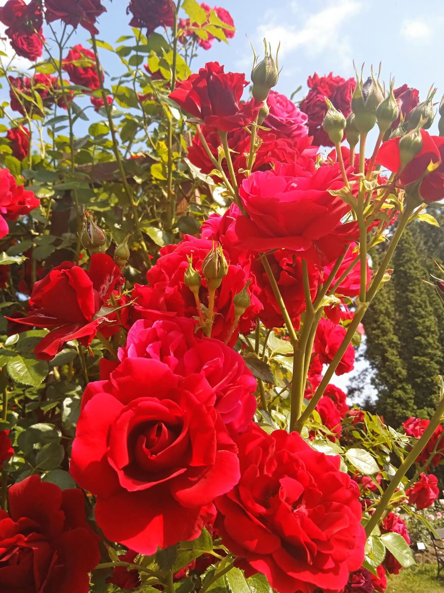 Karen Tabbal tweet media