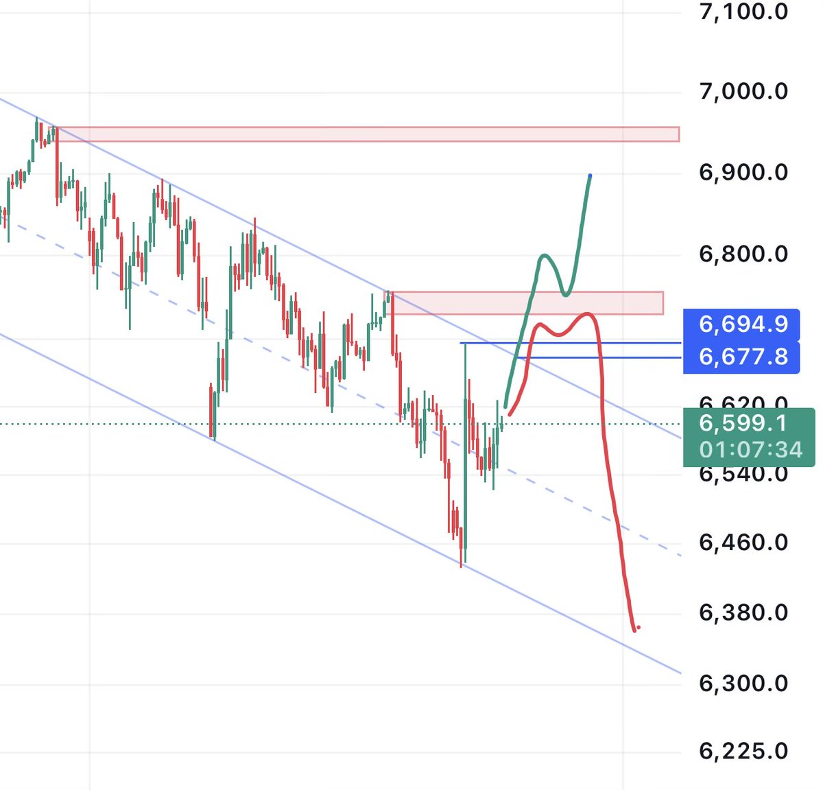 Options Pasha tweet media