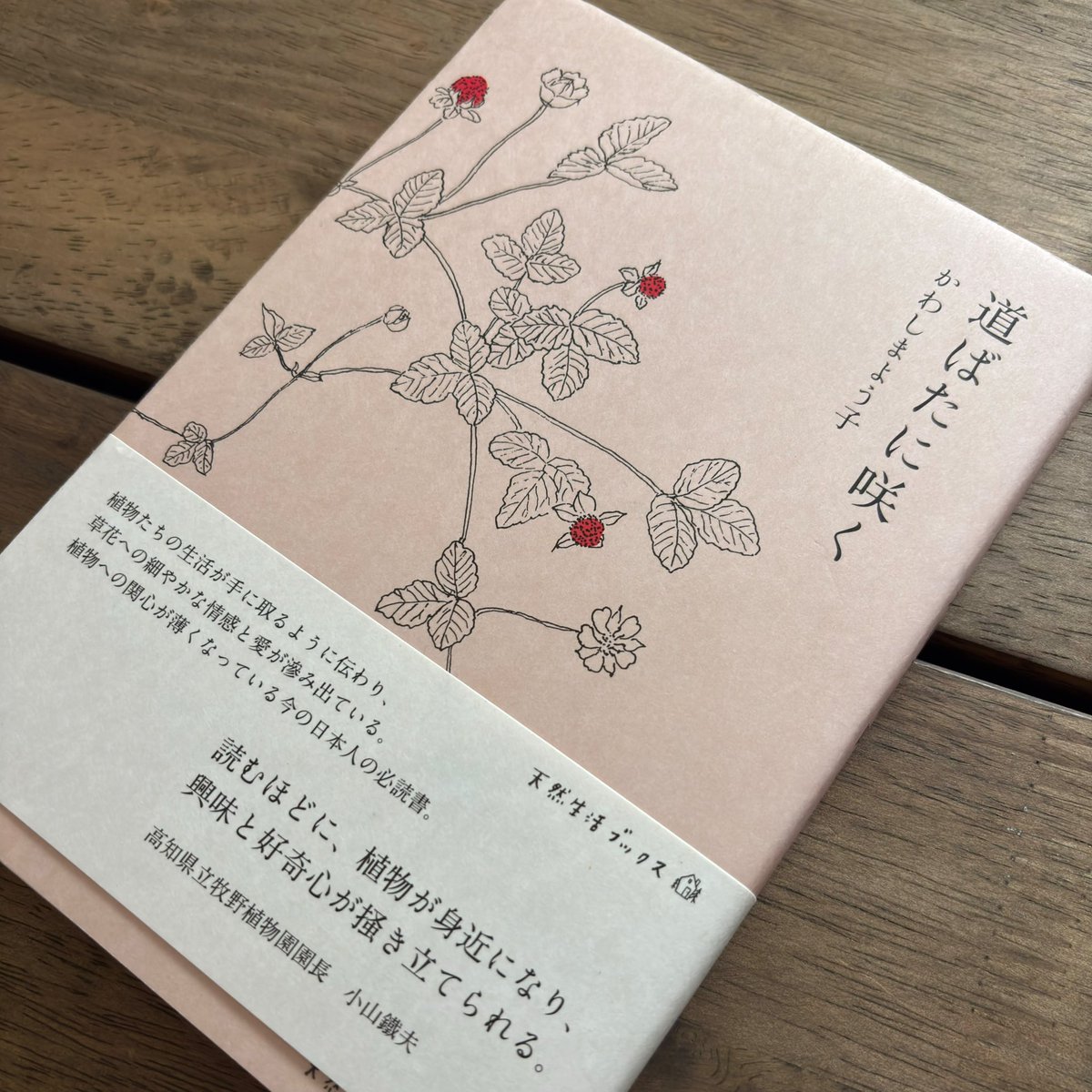 緑蔭堂 tweet media