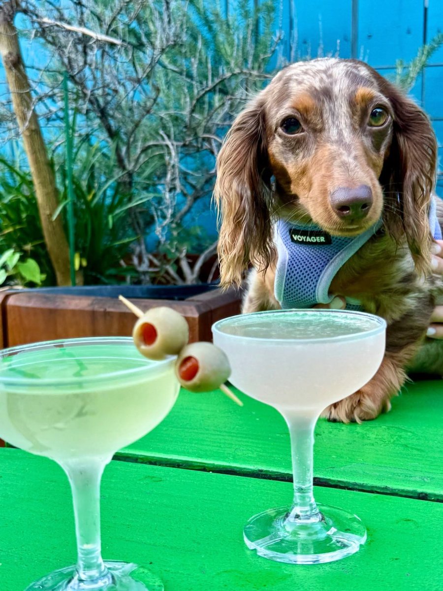 Magazine Street tweet media