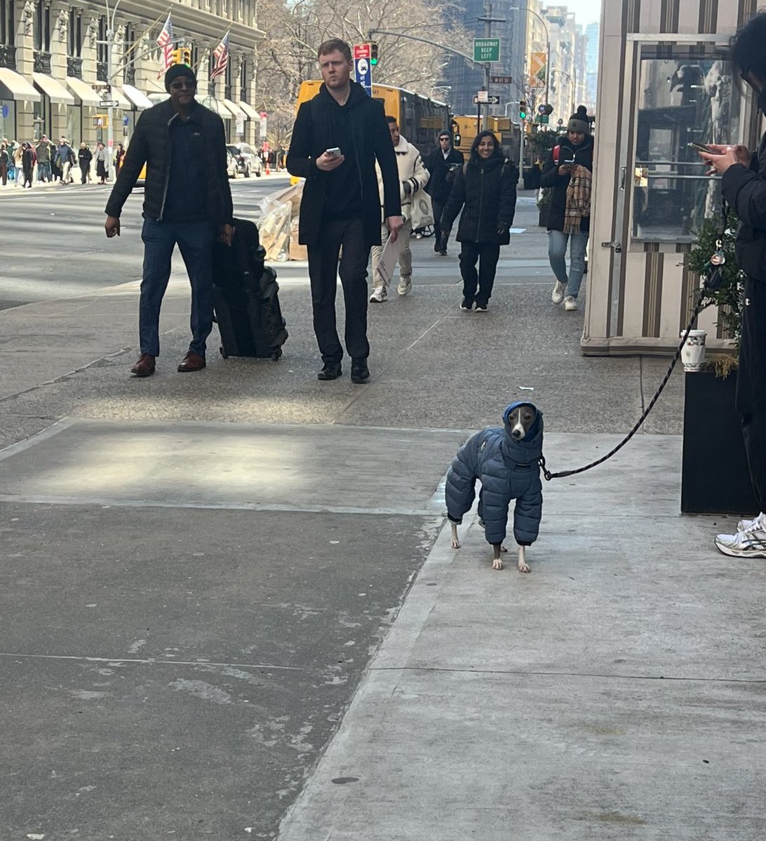 @itslaylas on upscrolled 🪬 tweet media