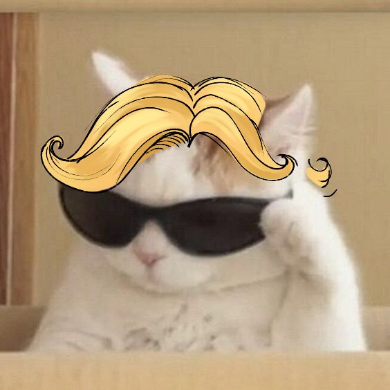 7l_izzy's tweet image. Gamma Cat y Prrretty Poison

Dibujar puros memes: 🤑🤑
Hacer lore a mis pjs: 😡😡

#GammaJack #selfinsert #Theincredibles