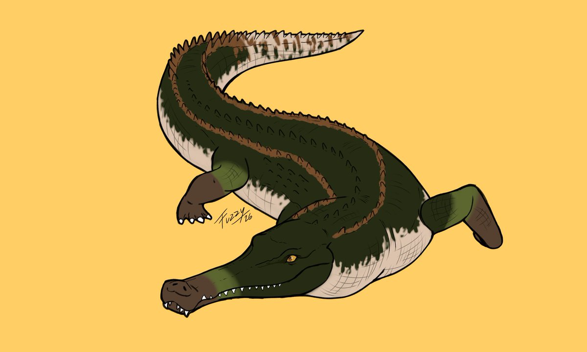 Fuzzy CB🐱🏳️‍🌈Open Commissions tweet media