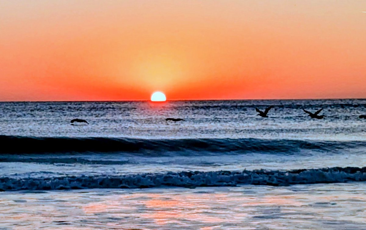 Michael Carty tweet media