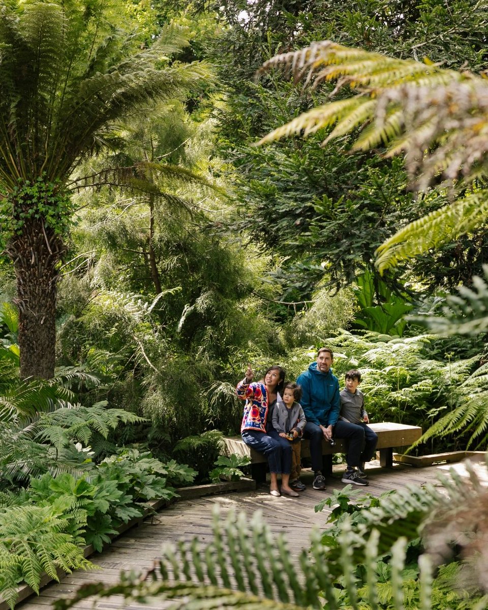 San Francisco Botanical Garden tweet media