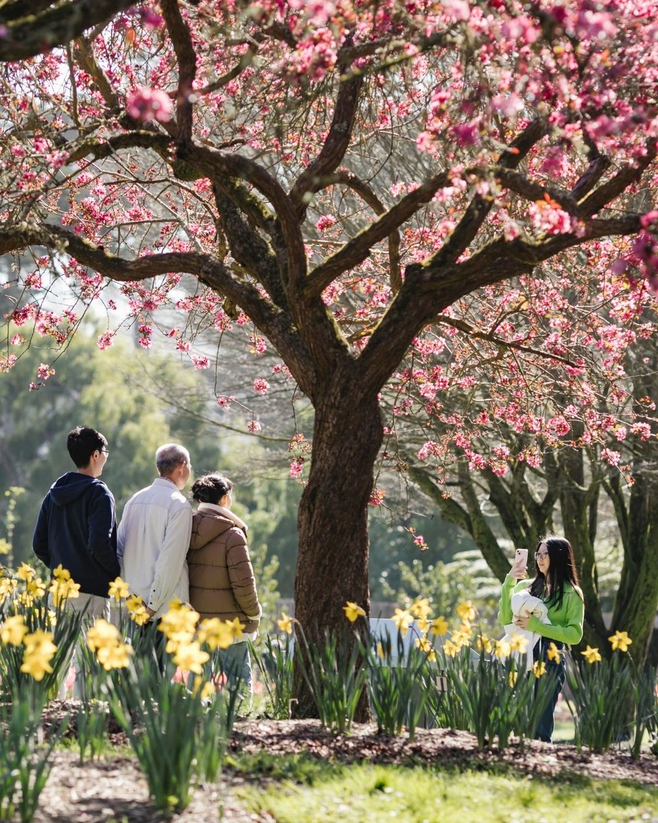 San Francisco Botanical Garden tweet media