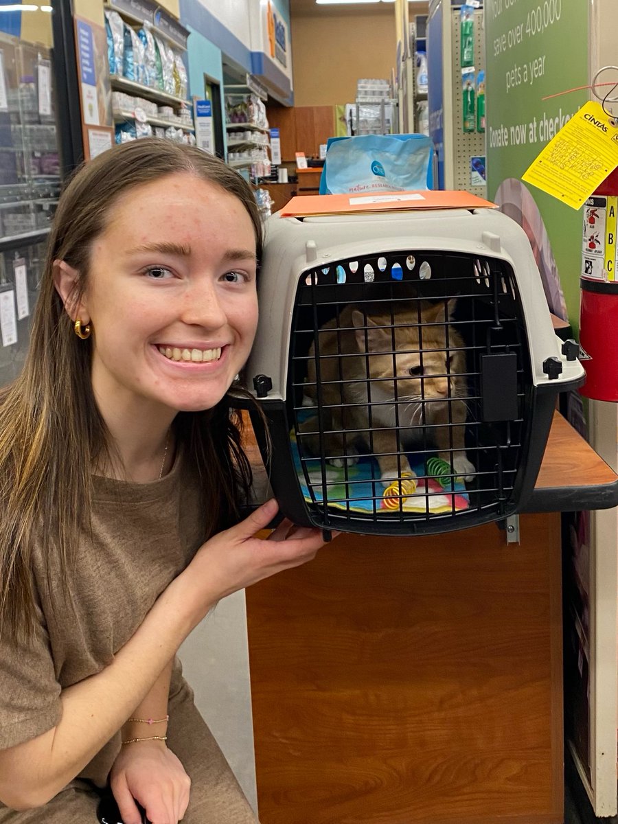 FeralCatProgramGA tweet media