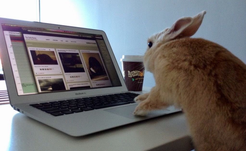 خوان ميغيل انخيل tweet media