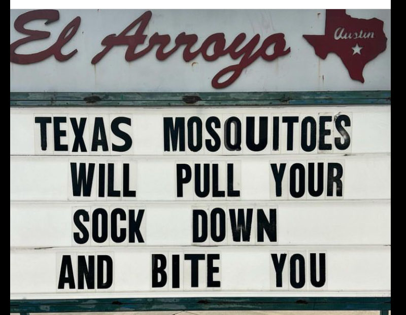 texasvaquero tweet media