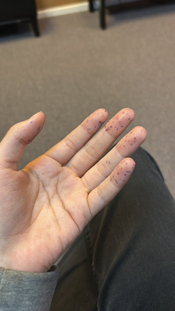 ﹒ ʚ g a n g l e o f s h t w t ɞ ﹒ tweet media