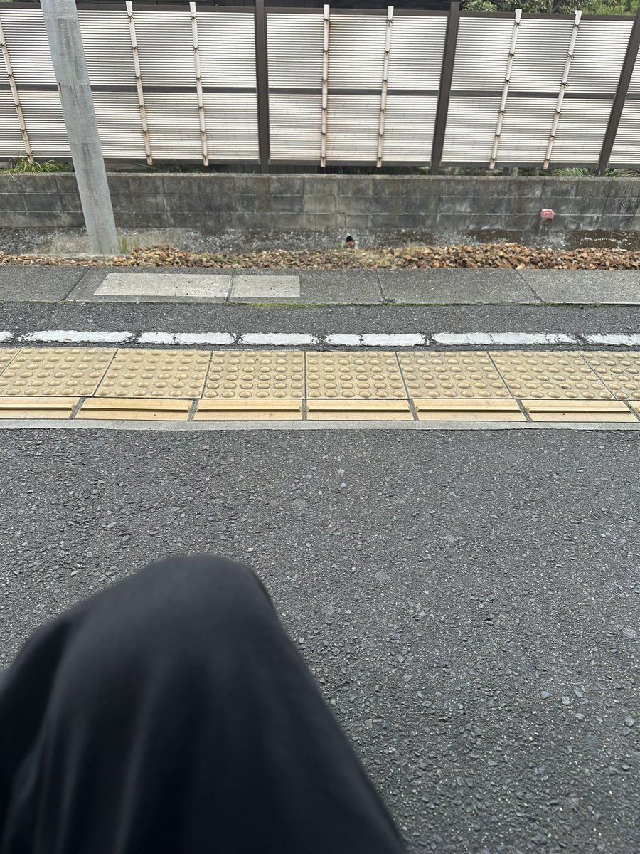 レンちゃん🎿さん付けは要らんです tweet media