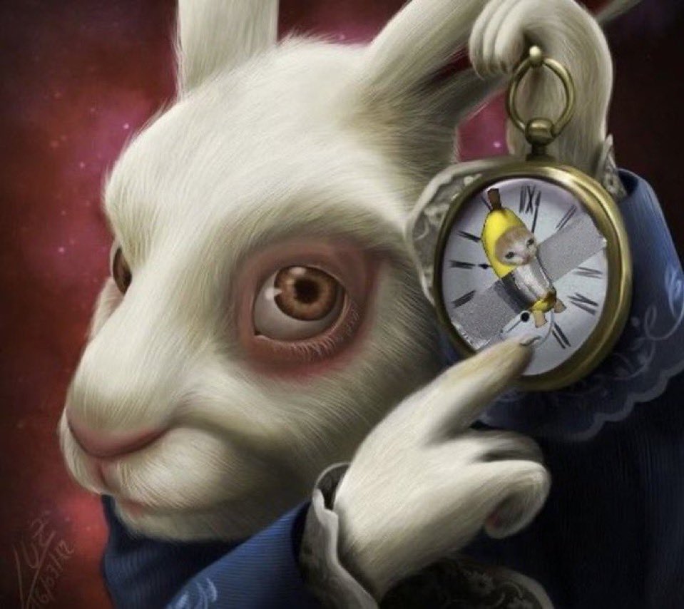 Km🐱🍌 tweet media