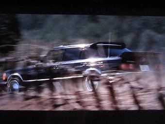 詩美 猫(しみ猫) tweet media