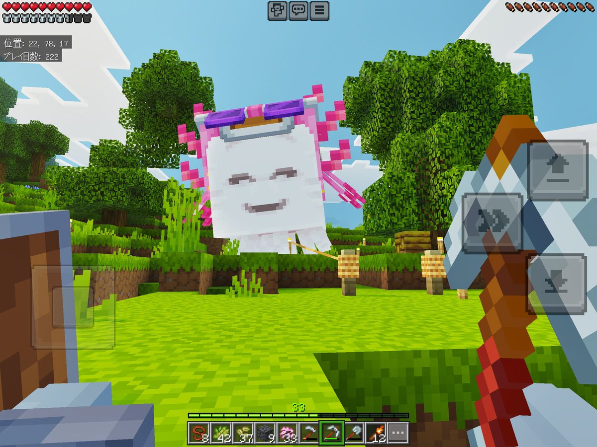 オルカ tweet media