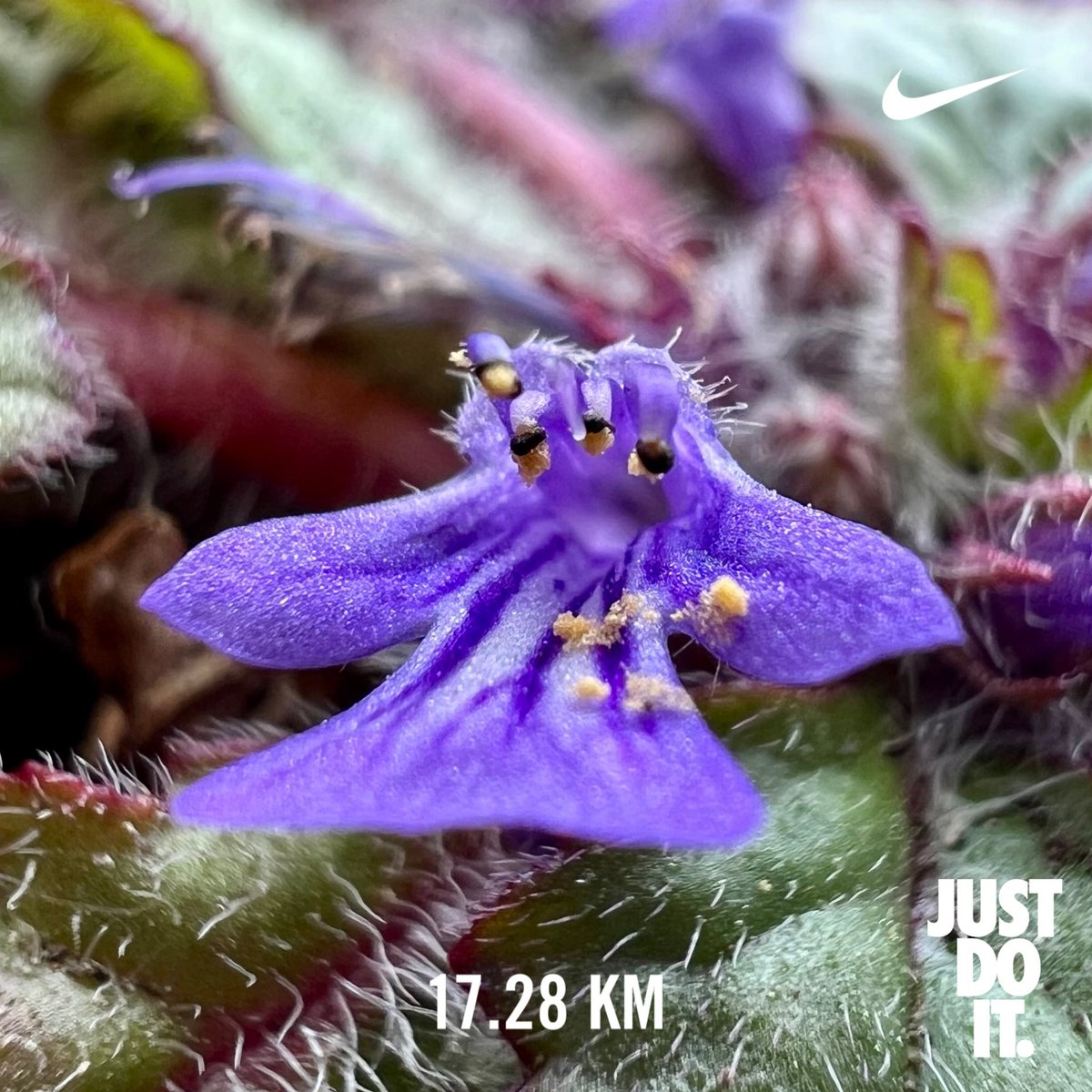 創走漕まこと tweet media