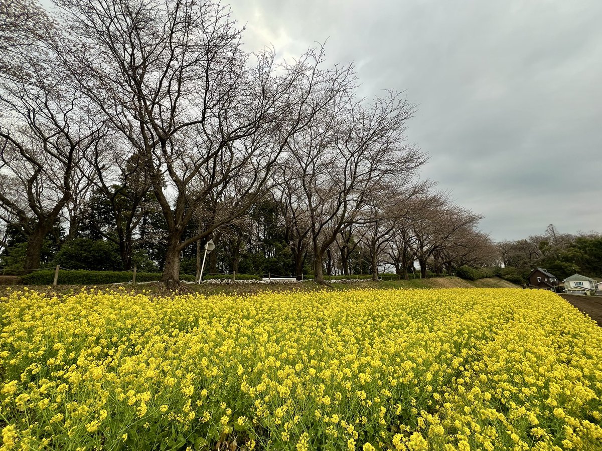 創走漕まこと tweet media