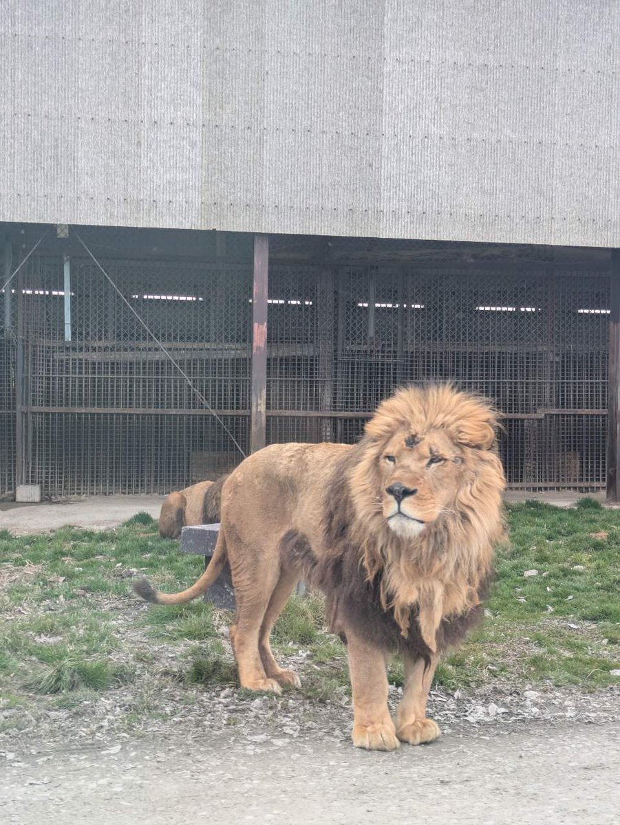 INSIGHT LAB株式会社 新潟研究開発センター tweet media