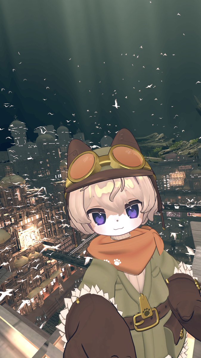 トキワ 〈tokiwa〉常磐 tweet media