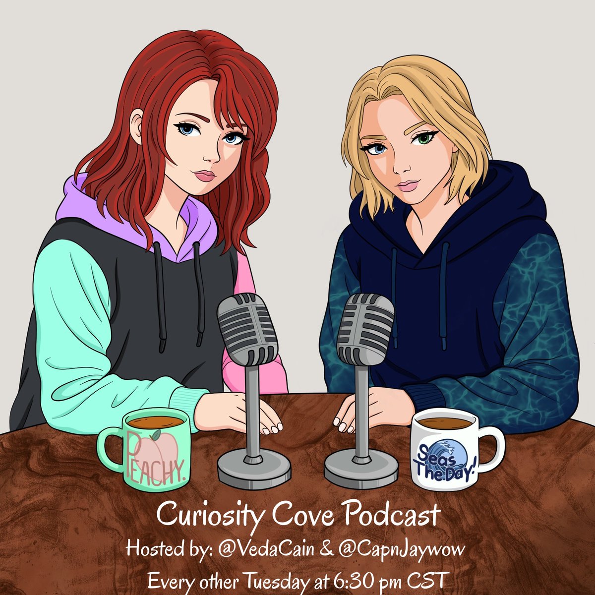 CapnJaywow I 🏴‍☠️Pirate Vtuber⚓️I tweet media