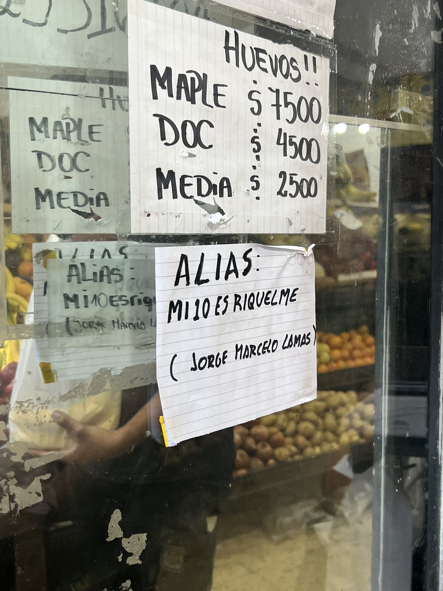 Noelia Sosa tweet media