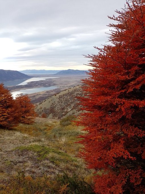 Damian Pablo Ballester tweet media