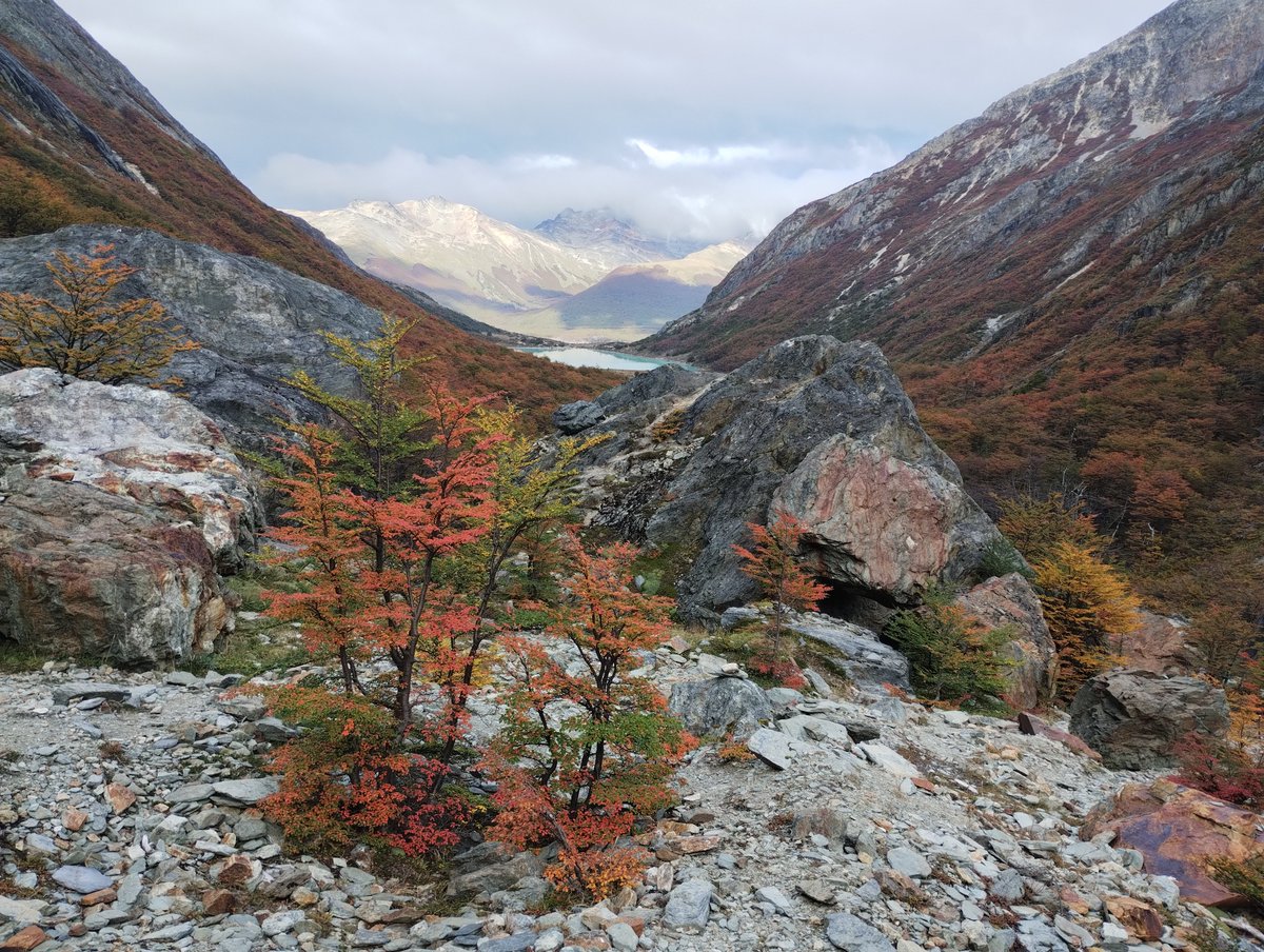 Damian Pablo Ballester tweet media