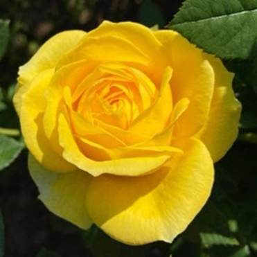 Hacı AYVAT tweet media