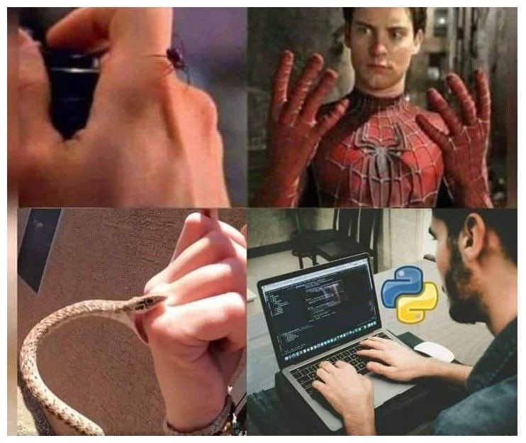 HemantDotDev's tweet photo. Cracked !!! How to become python expert. https://t.co/YLO9UhHrAo