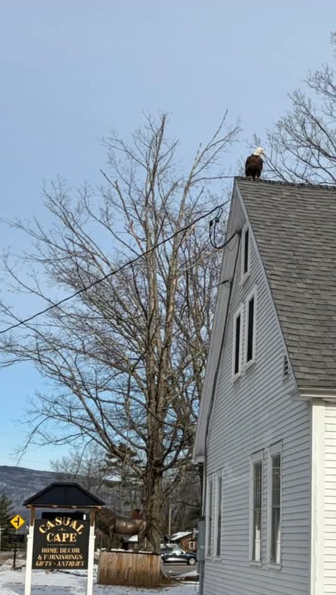 Lake Winnipesaukee 🥇 tweet media