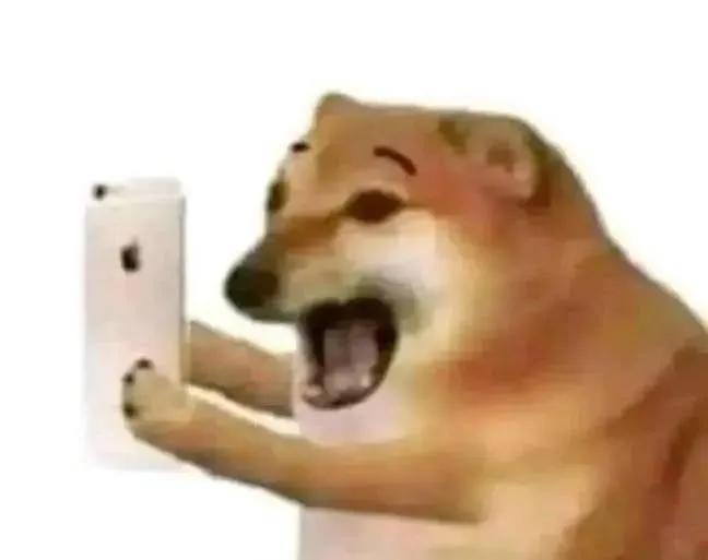 Magic Rahcoon tweet media