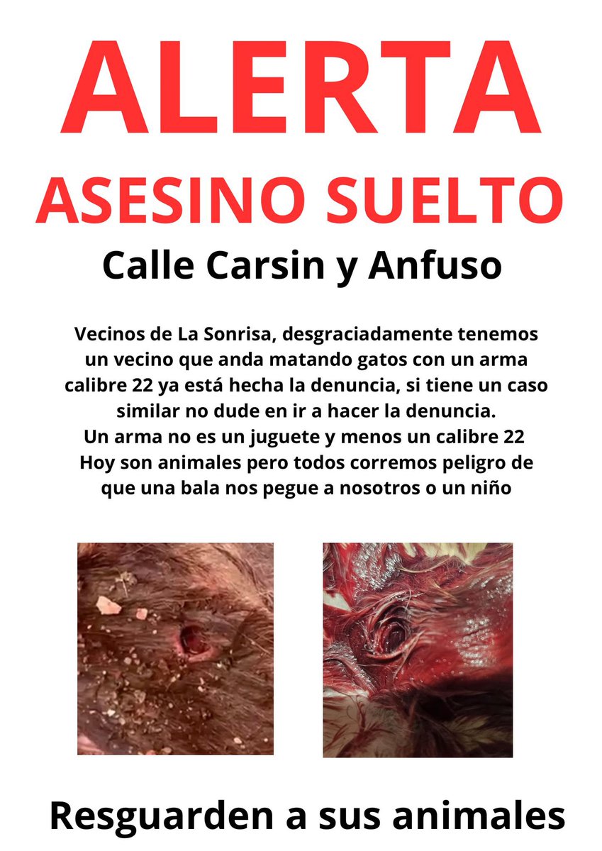 Marcelo Umpierrez 📞099323625 tweet media