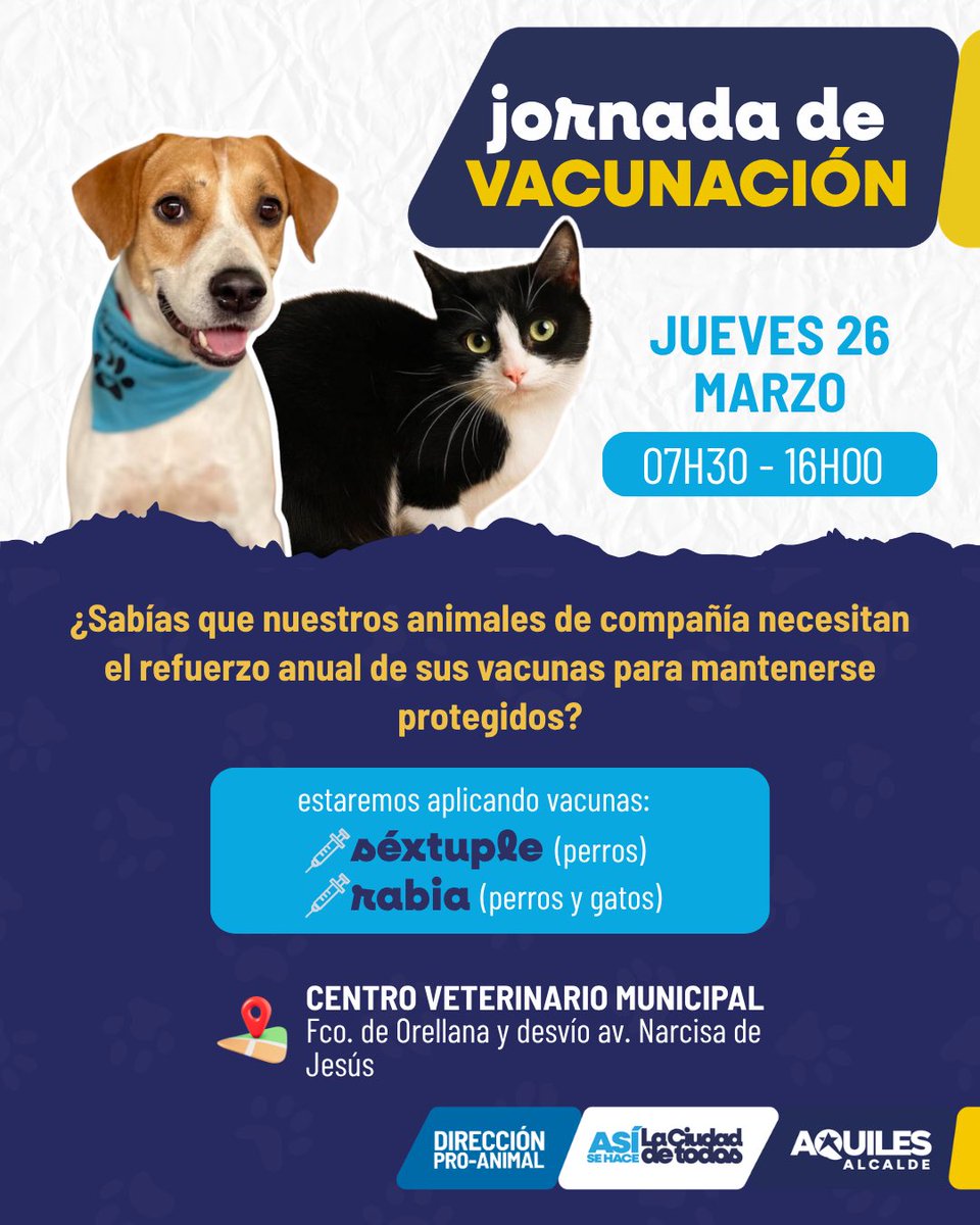 ProAnimal_gye tweet media