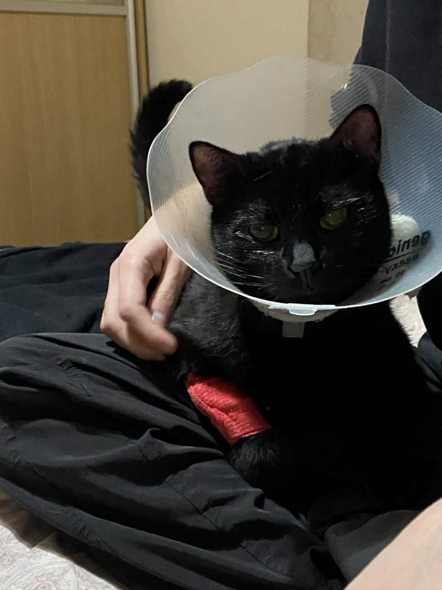 🎃jupiter🔮 tweet media