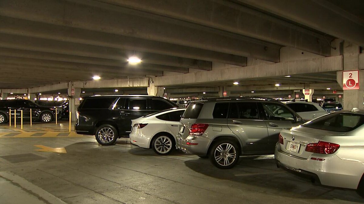 Everything Georgia tweet media