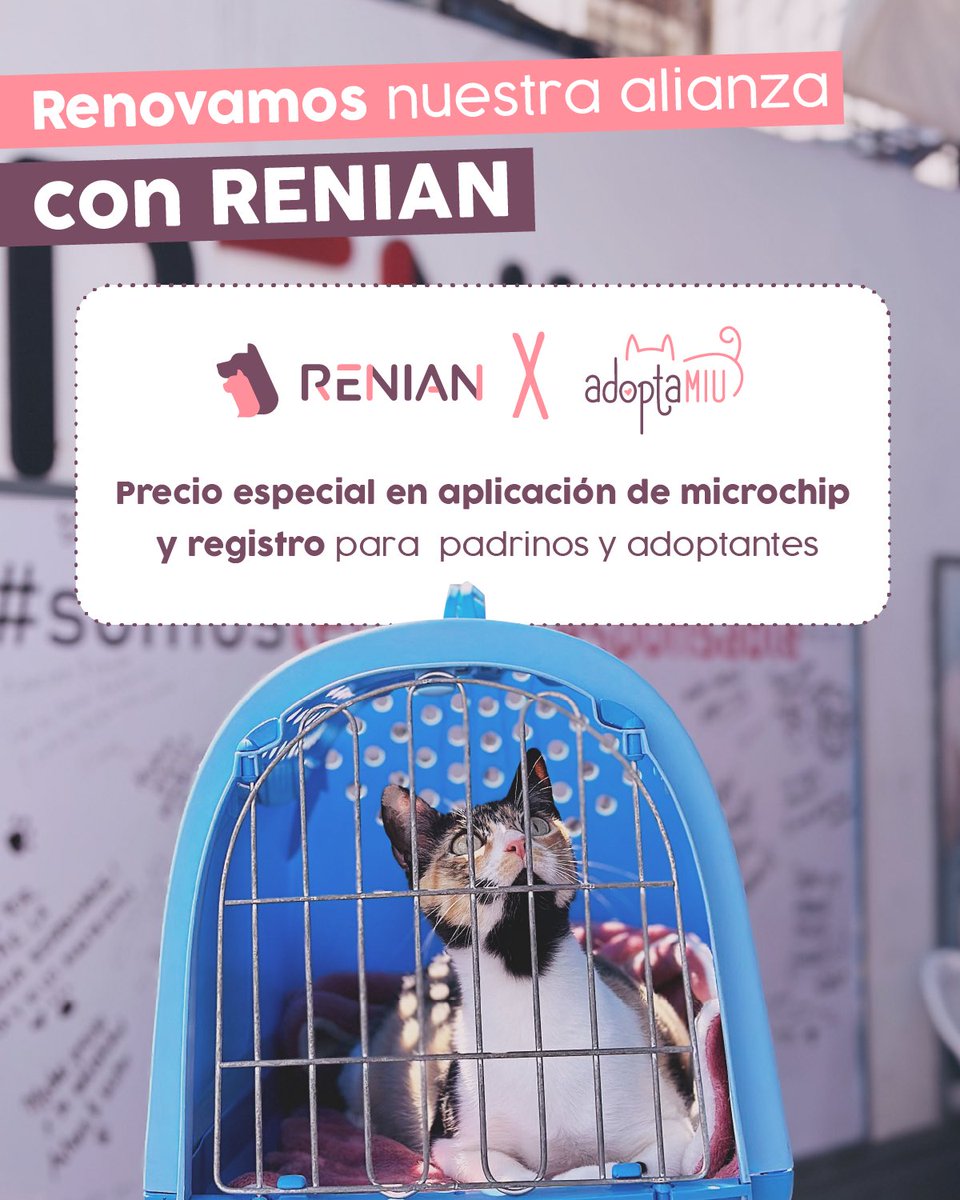 Adoptamiu tweet media