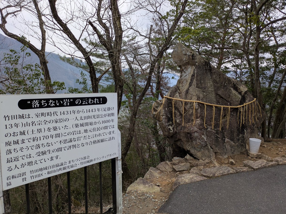 いるか tweet media