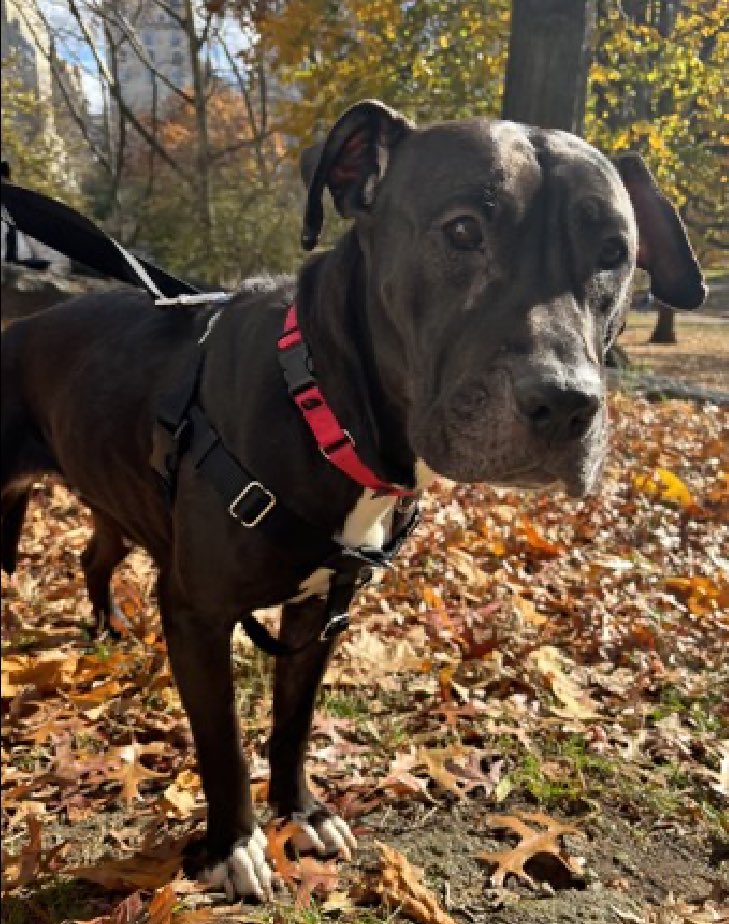 Quinn 💛(G.Quinn Rogers) tweet media