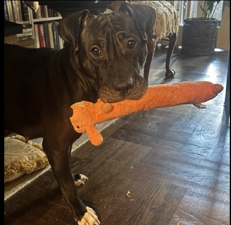 Quinn 💛(G.Quinn Rogers) tweet media