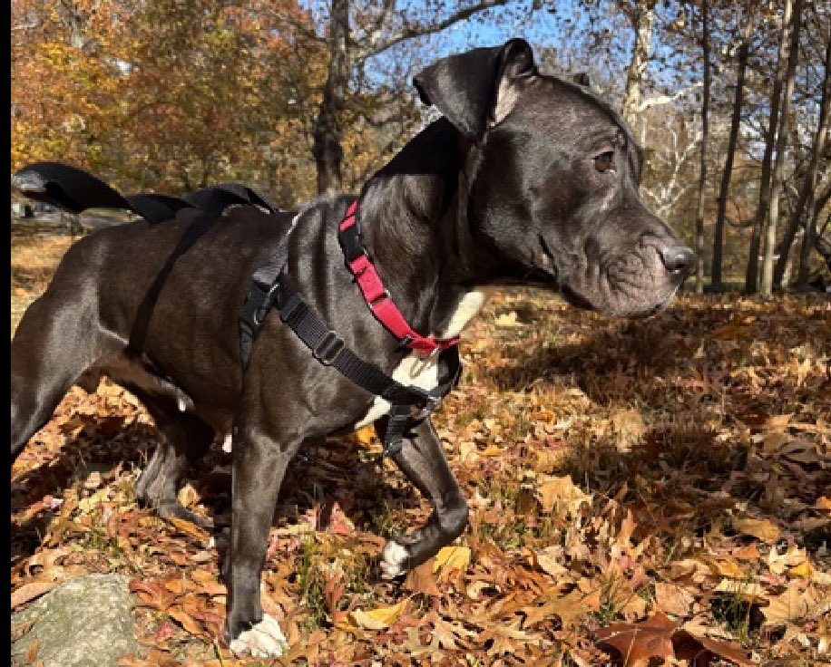 Quinn 💛(G.Quinn Rogers) tweet media