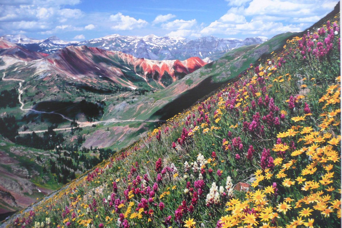 Fly2Dro's tweet image. Check out Durango in the Spring - #Kalispell (FCA) MT to/from Durango CO flight deal from $260rt
#DurangoFlightDeal durangoflyer.com/durango-to-kal…