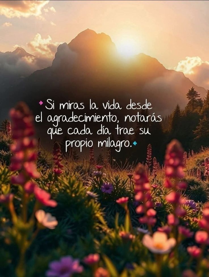 Paulo Coelho Español tweet media