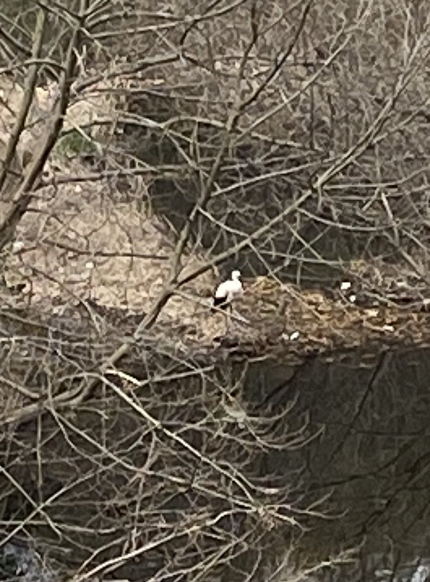 前田あきら 神戸市会議員（須磨区） tweet media