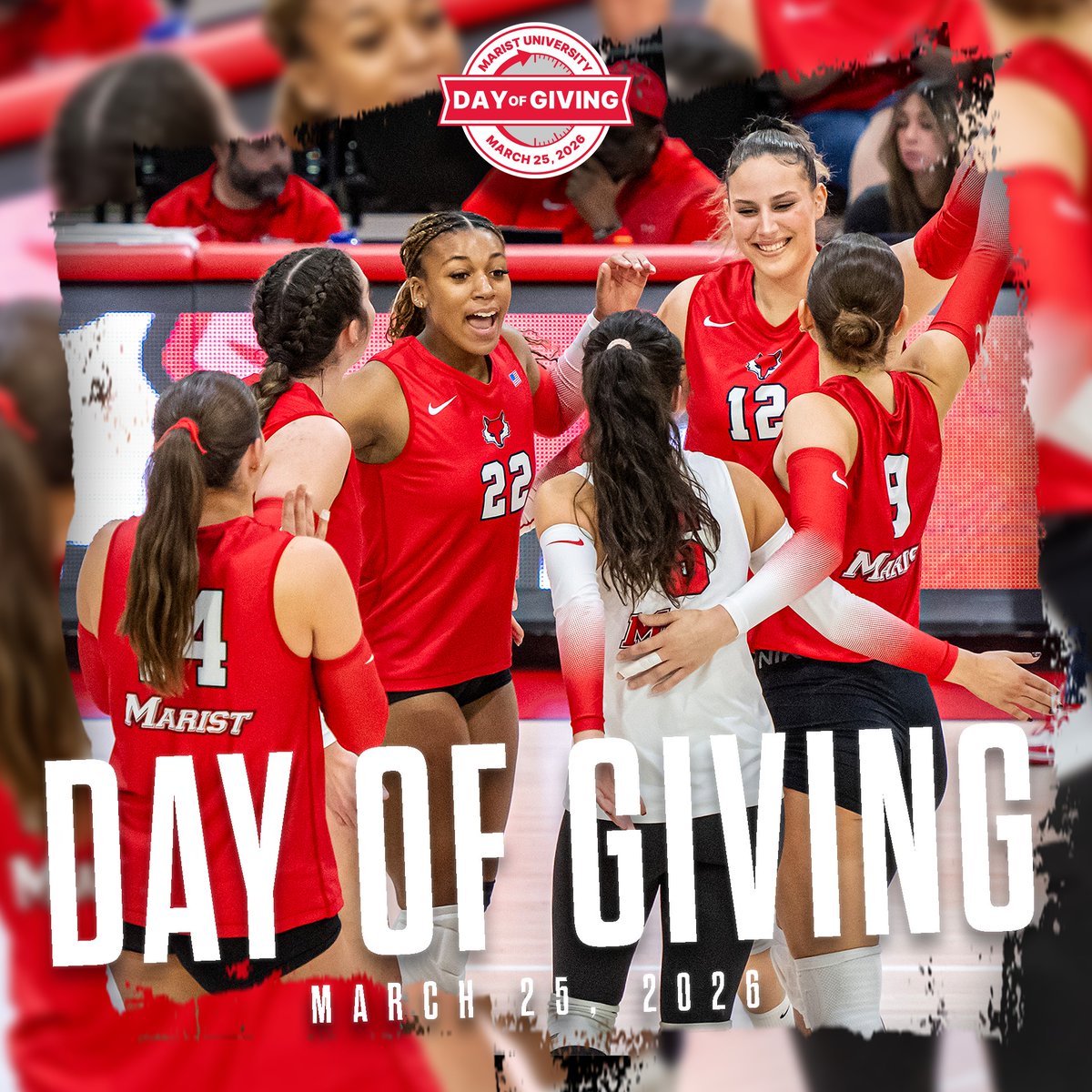 Marist Volleyball tweet media