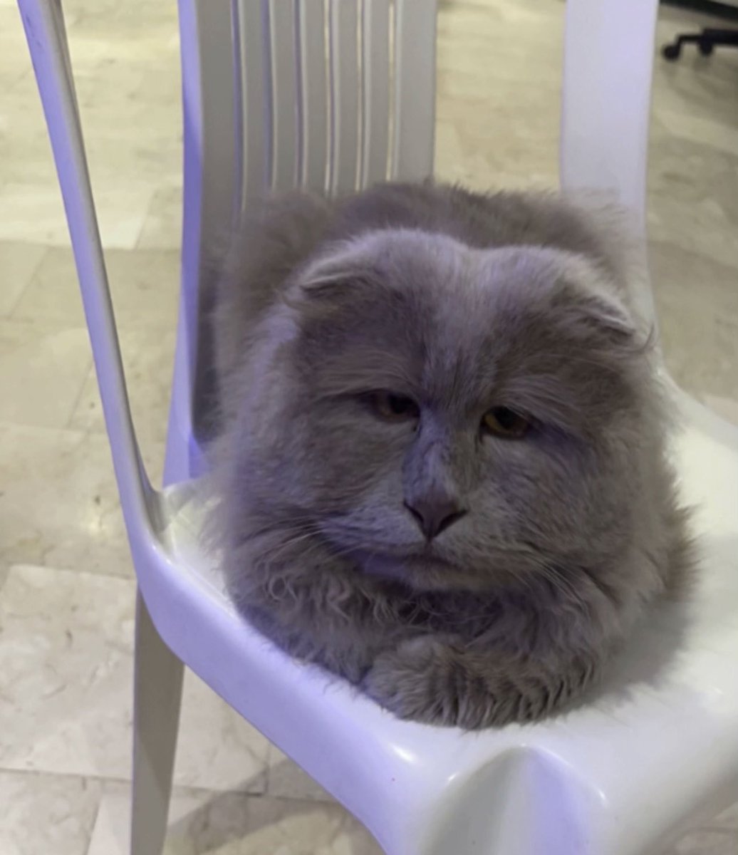 Football2017 tweet media