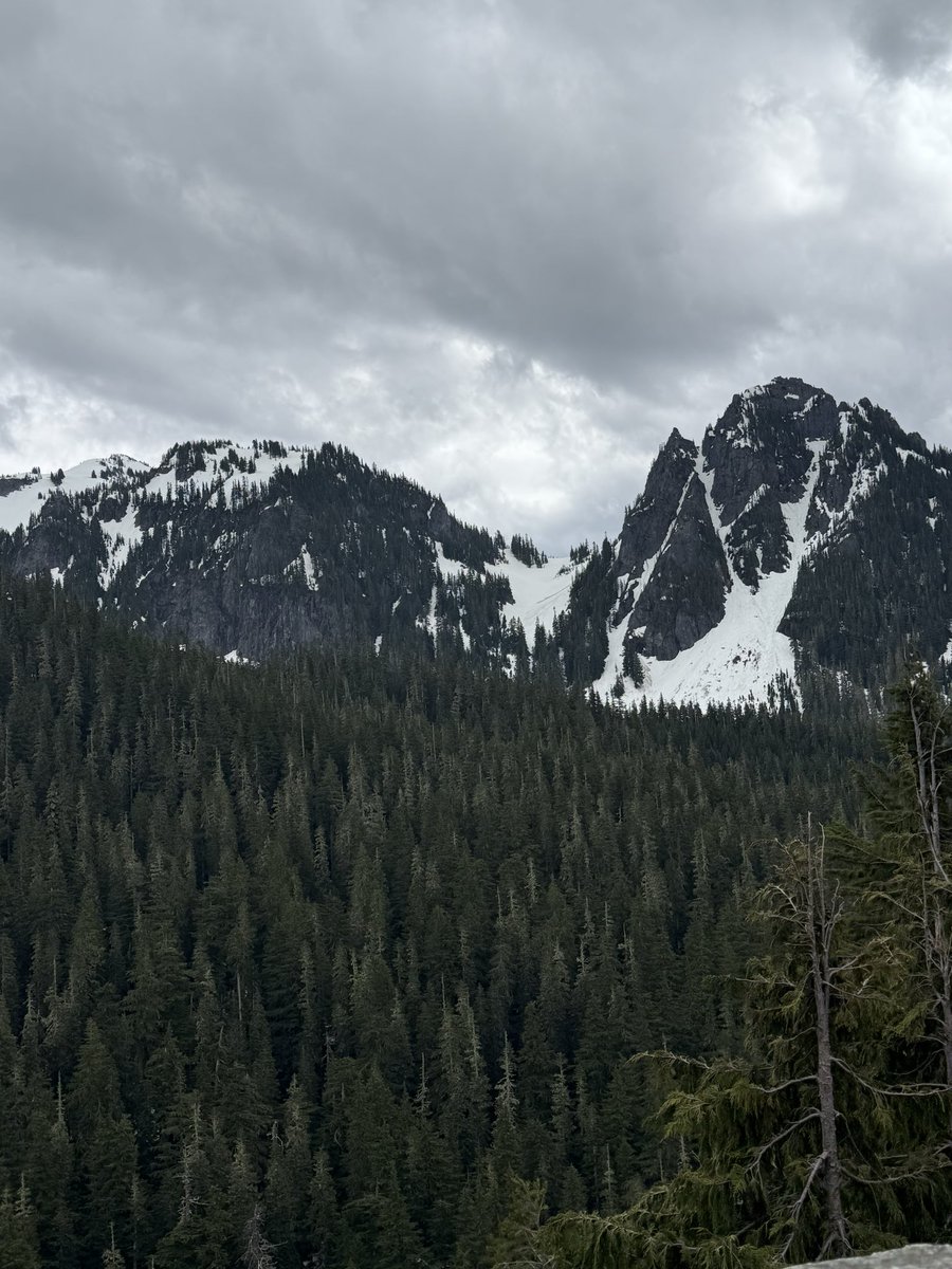 Aziz Alazzaz | عزيز tweet media