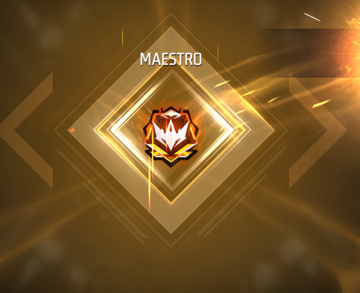 𑣲 dann tweet media